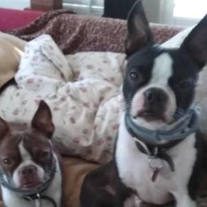 Meet your Posher, Kimberly